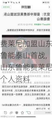 费莱尼加盟山东鲁能泰山首战,山东鲁能费莱尼个人资料