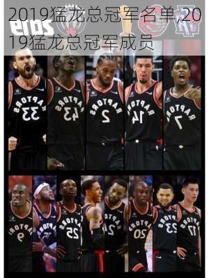 2019猛龙总冠军名单,2019猛龙总冠军成员