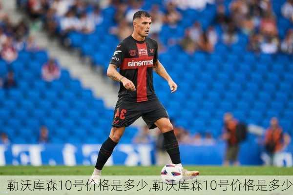 勒沃库森10号价格是多少,勒沃库森10号价格是多少