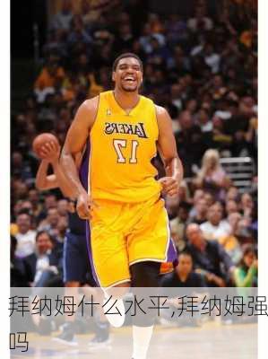拜纳姆什么水平,拜纳姆强吗