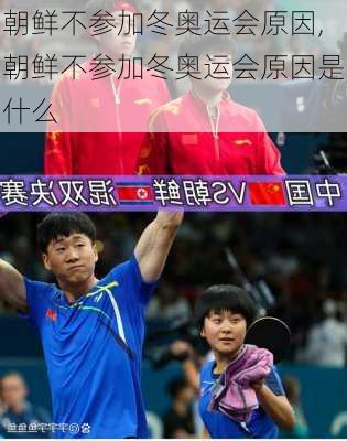 朝鲜不参加冬奥运会原因,朝鲜不参加冬奥运会原因是什么