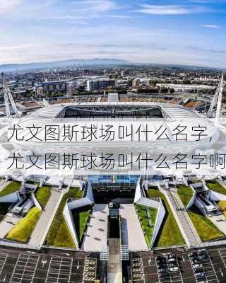 尤文图斯球场叫什么名字,尤文图斯球场叫什么名字啊