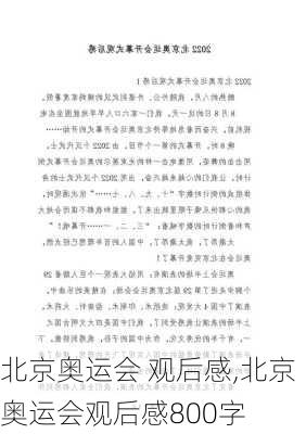 北京奥运会 观后感,北京奥运会观后感800字