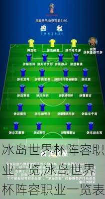 冰岛世界杯阵容职业一览,冰岛世界杯阵容职业一览表