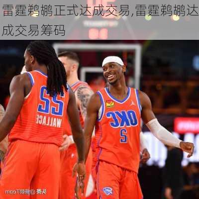 雷霆鹈鹕正式达成交易,雷霆鹈鹕达成交易筹码
