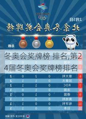 冬奥会奖牌榜 排名,第24届冬奥会奖牌榜排名
