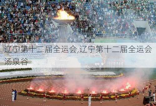 辽宁第十二届全运会,辽宁第十二届全运会汤泉谷