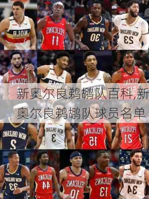 新奥尔良鹈鹕队百科,新奥尔良鹈鹕队球员名单