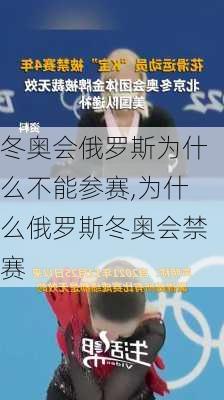 冬奥会俄罗斯为什么不能参赛,为什么俄罗斯冬奥会禁赛