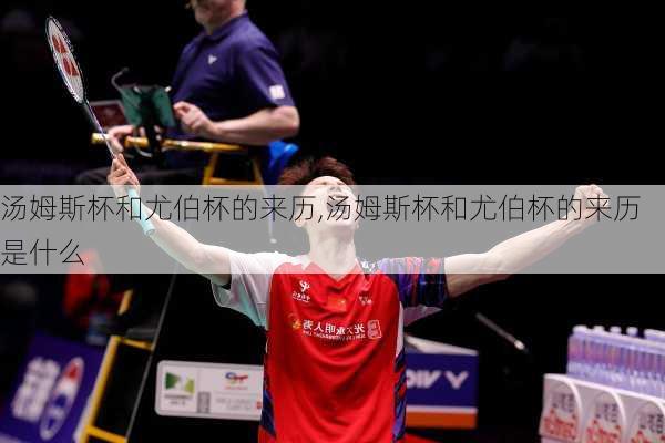 汤姆斯杯和尤伯杯的来历,汤姆斯杯和尤伯杯的来历是什么