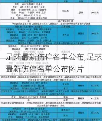 足球最新伤停名单公布,足球最新伤停名单公布图片