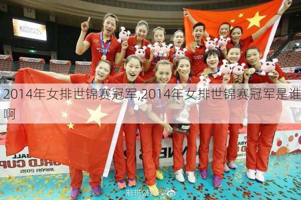 2014年女排世锦赛冠军,2014年女排世锦赛冠军是谁啊