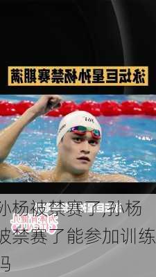 孙杨被禁赛了,孙杨被禁赛了能参加训练吗
