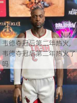 韦德夺冠后第二年热火,韦德夺冠后第二年热火了吗