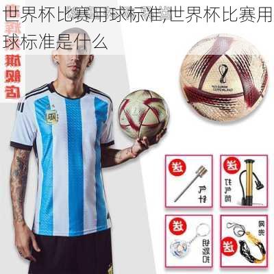 世界杯比赛用球标准,世界杯比赛用球标准是什么