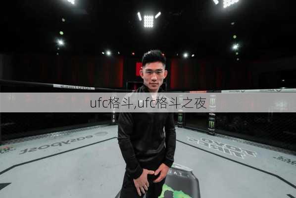 ufc格斗,ufc格斗之夜