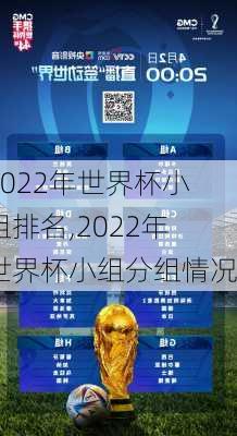 2022年世界杯小组排名,2022年世界杯小组分组情况