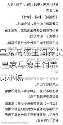 皇家马德里饲养员,皇家马德里饲养员小说