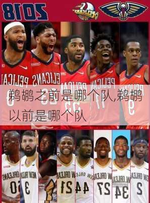 鹈鹕之前是哪个队,鹈鹕以前是哪个队