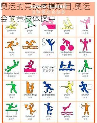 奥运的竞技体操项目,奥运会的竞技体操中