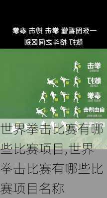 世界拳击比赛有哪些比赛项目,世界拳击比赛有哪些比赛项目名称