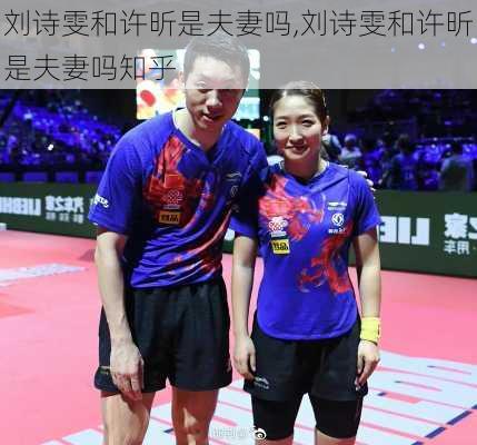 刘诗雯和许昕是夫妻吗,刘诗雯和许昕是夫妻吗知乎