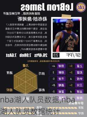 nba湖人队员数据,nba湖人队员数据统计