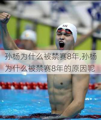 孙杨为什么被禁赛8年,孙杨为什么被禁赛8年的原因呢