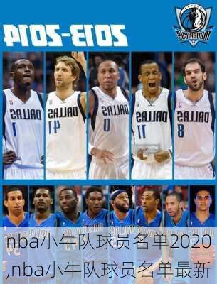 nba小牛队球员名单2020,nba小牛队球员名单最新