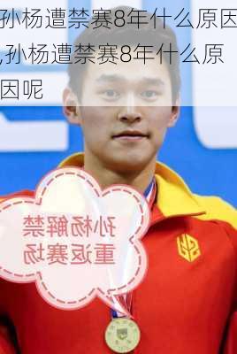 孙杨遭禁赛8年什么原因,孙杨遭禁赛8年什么原因呢