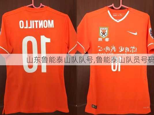 山东鲁能泰山队队号,鲁能泰山队员号码