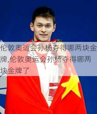 伦敦奥运会孙杨夺得哪两块金牌,伦敦奥运会孙杨夺得哪两块金牌了