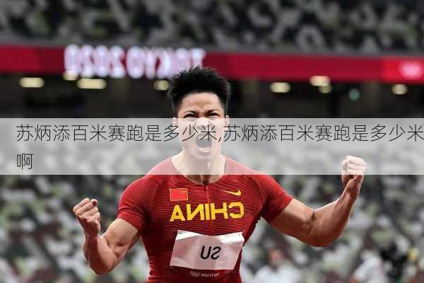 苏炳添百米赛跑是多少米,苏炳添百米赛跑是多少米啊