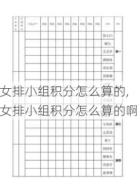女排小组积分怎么算的,女排小组积分怎么算的啊