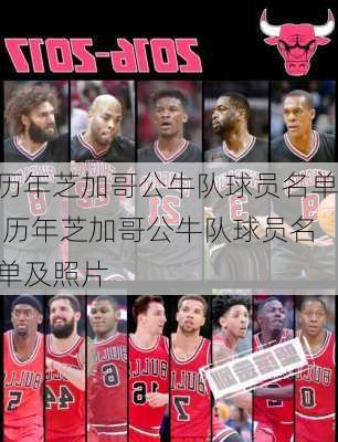 历年芝加哥公牛队球员名单,历年芝加哥公牛队球员名单及照片