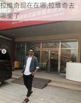 拉维奇现在在哪,拉维奇去哪里了