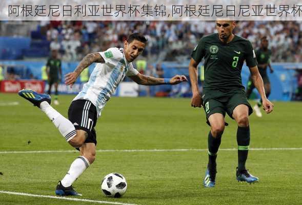 阿根廷尼日利亚世界杯集锦,阿根廷尼日尼亚世界杯