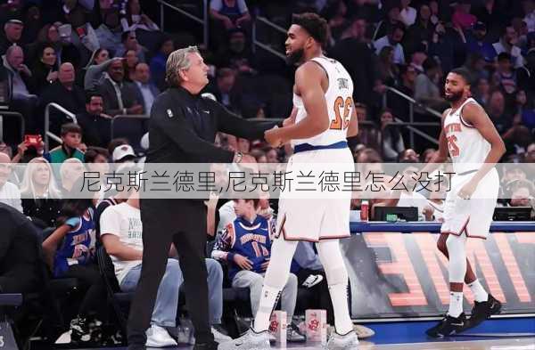 尼克斯兰德里,尼克斯兰德里怎么没打