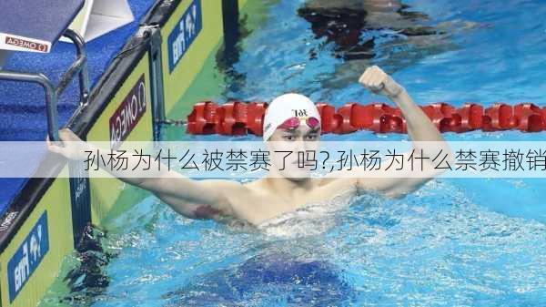 孙杨为什么被禁赛了吗?,孙杨为什么禁赛撤销