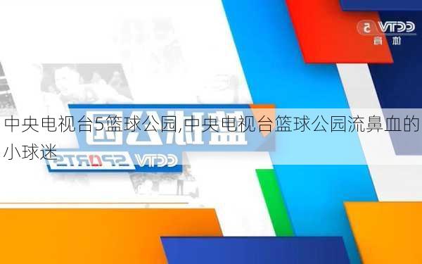 中央电视台5篮球公园,中央电视台篮球公园流鼻血的小球迷