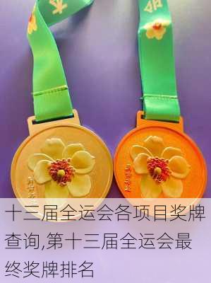 十三届全运会各项目奖牌查询,第十三届全运会最终奖牌排名