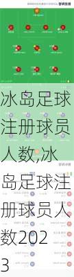 冰岛足球注册球员人数,冰岛足球注册球员人数2023