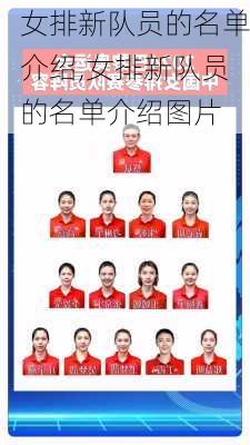 女排新队员的名单介绍,女排新队员的名单介绍图片