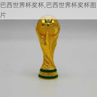 巴西世界杯奖杯,巴西世界杯奖杯图片