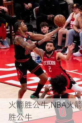 火箭胜公牛,NBA火箭胜公牛