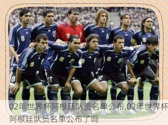 02年世界杯阿根廷队员名单公布,02年世界杯阿根廷队员名单公布了吗