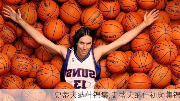 史蒂夫纳什锦集,史蒂夫纳什视频集锦