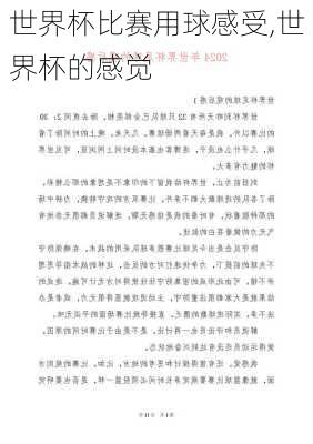 世界杯比赛用球感受,世界杯的感觉