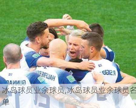 冰岛球员业余球员,冰岛球员业余球员名单