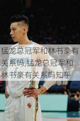 猛龙总冠军和林书豪有关系吗,猛龙总冠军和林书豪有关系吗知乎